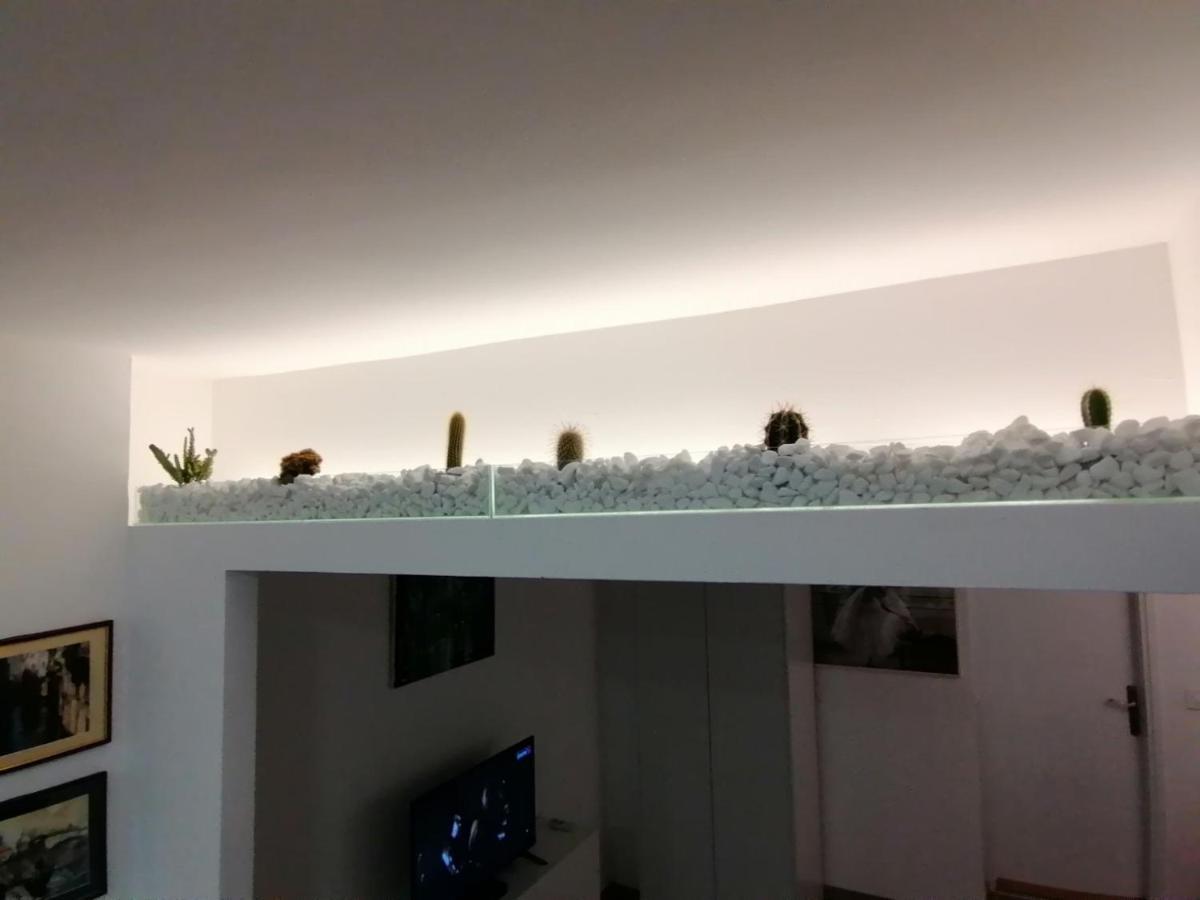 Apartman Dunja S เบลเกรด ภายนอก รูปภาพ
