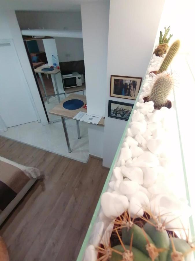 Apartman Dunja S เบลเกรด ภายนอก รูปภาพ